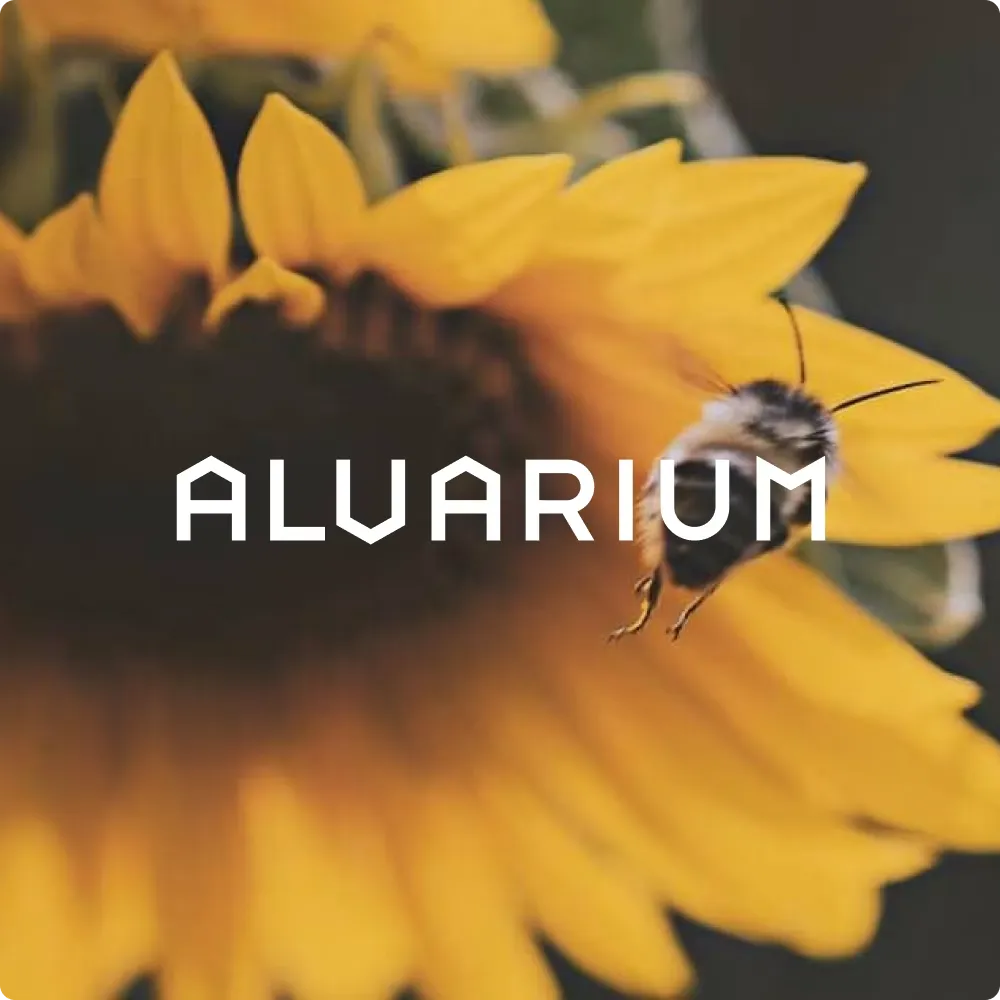 alvarium web design