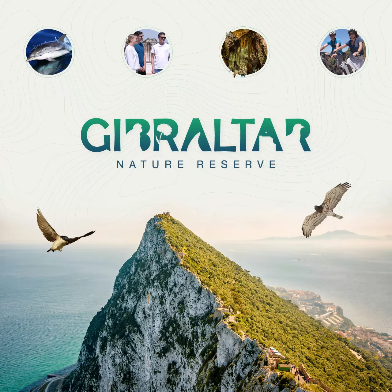 gibraltar nature reserve new website
