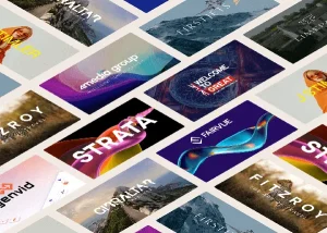 web design agency portfolio grid