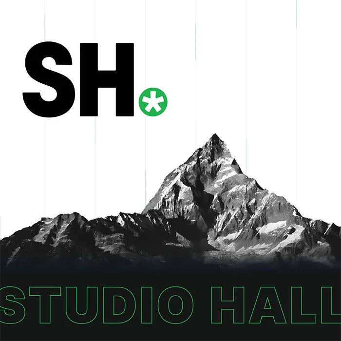 Stylish web design for Studio Hall, combining bold typography, dynamic layouts, and a modern aesthetic.