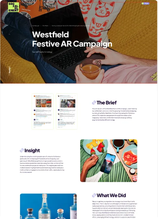Social Element wireframe 2