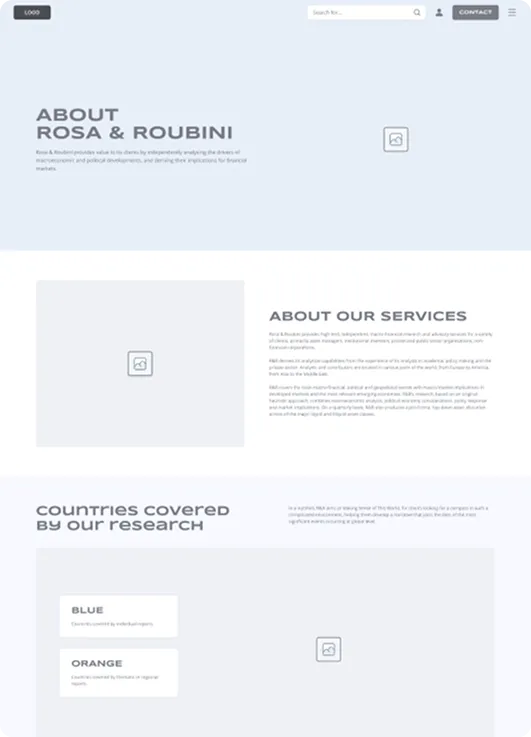 Rosa Roubini wireframe 1